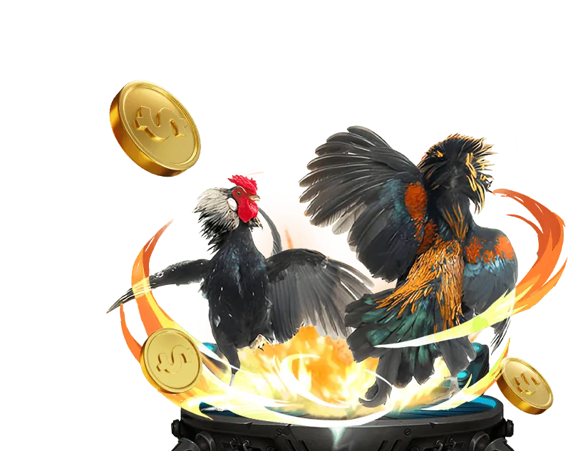 Đá Gà Trực Tiếp tại 888p vip222